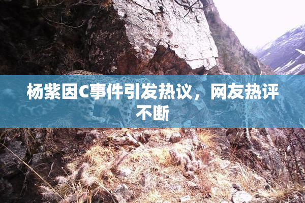 杨紫因C事件引发热议，网友热评不断