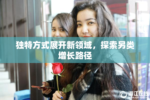 独特方式展开新领域，探索另类增长路径