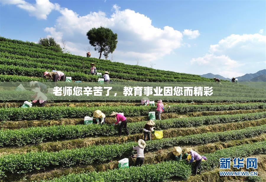 老师您辛苦了，教育事业因您而精彩