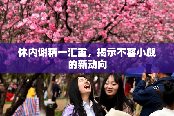 休内谢精一汇重，揭示不容小觑的新动向