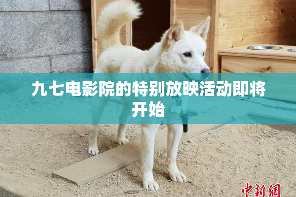 九七电影院的特别放映活动即将开始