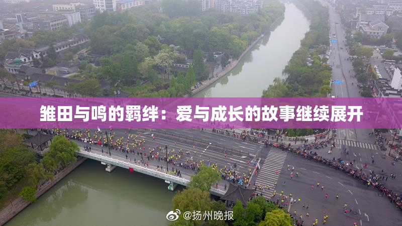 雏田与鸣的羁绊：爱与成长的故事继续展开
