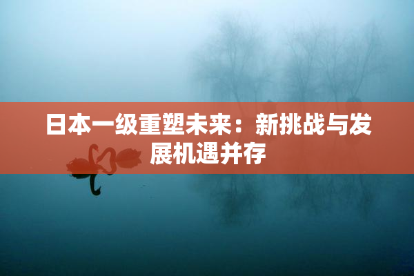 日本一级重塑未来：新挑战与发展机遇并存