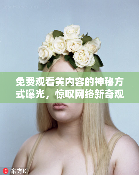 免费观看黄内容的神秘方式曝光，惊叹网络新奇观