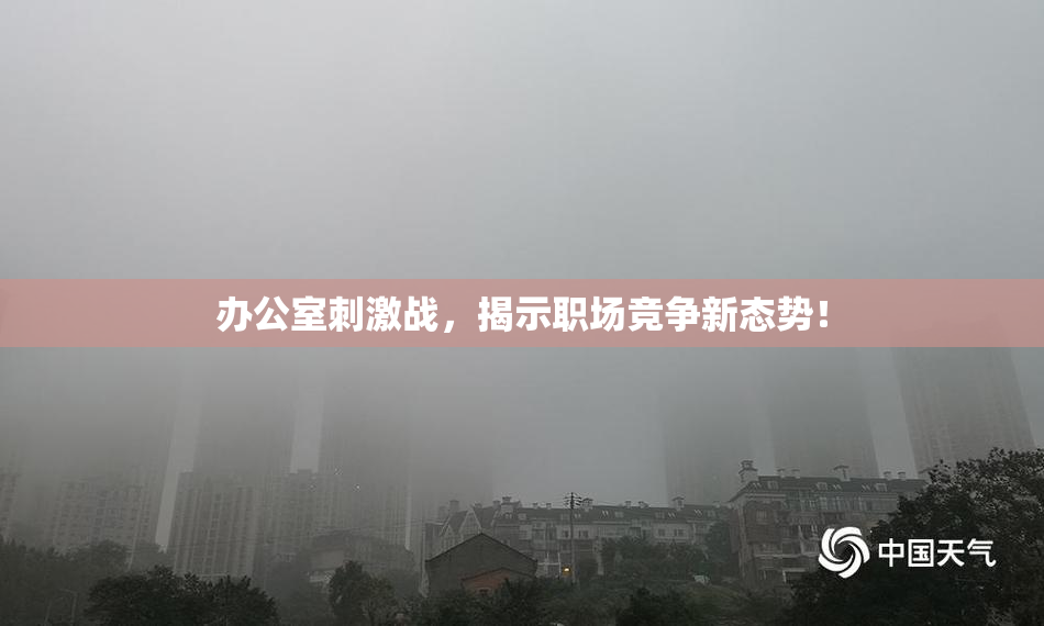 办公室刺激战，揭示职场竞争新态势！