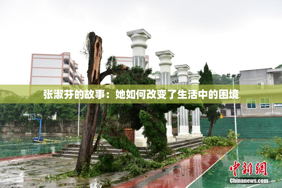 张淑芬的故事：她如何改变了生活中的困境