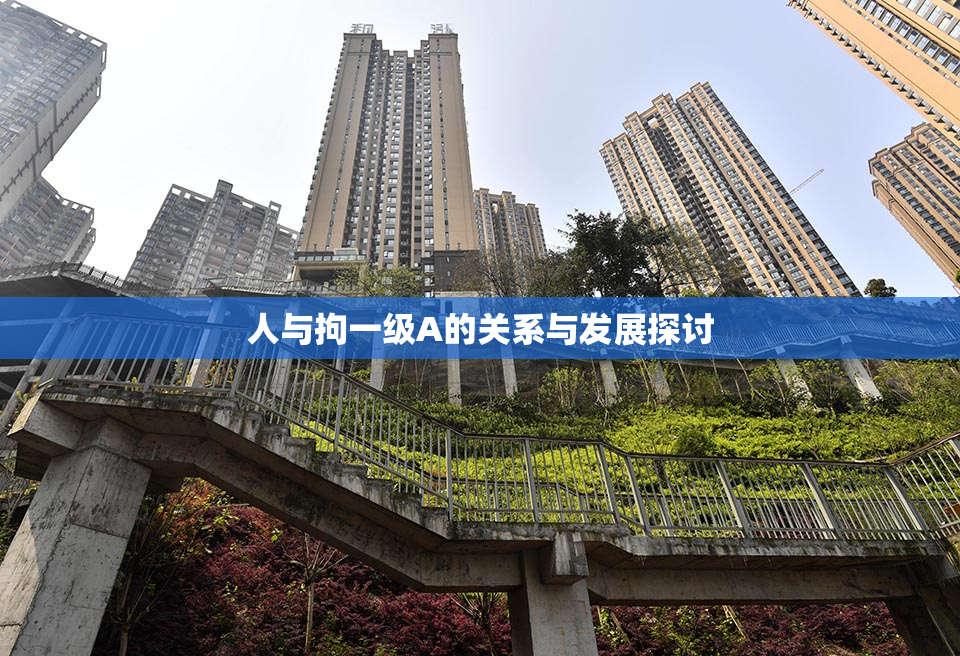 人与拘一级A的关系与发展探讨