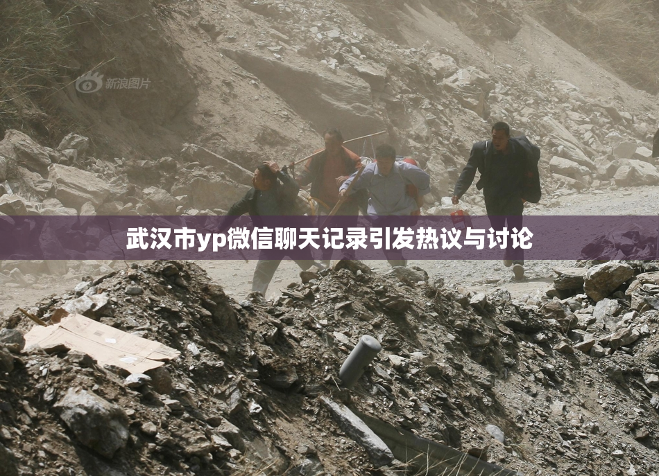 武汉市yp微信聊天记录引发热议与讨论