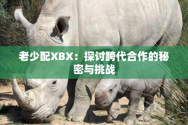 老少配XBX：探讨跨代合作的秘密与挑战