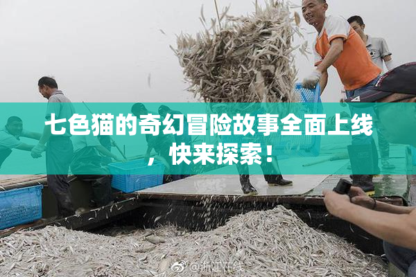 七色猫的奇幻冒险故事全面上线，快来探索！