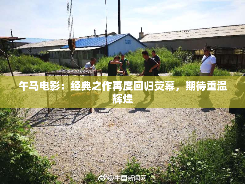 午马电影：经典之作再度回归荧幕，期待重温辉煌
