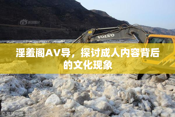 淫羞阁AV导，探讨成人内容背后的文化现象