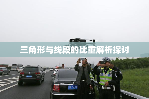 三角形与线段的比重解析探讨