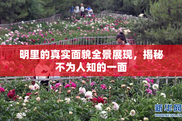 明里的真实面貌全景展现，揭秘不为人知的一面