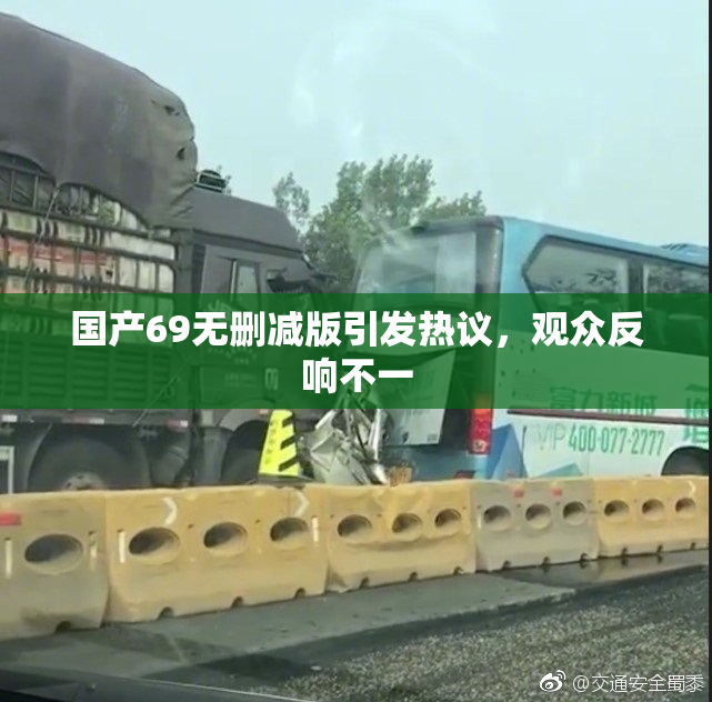 国产69无删减版引发热议，观众反响不一