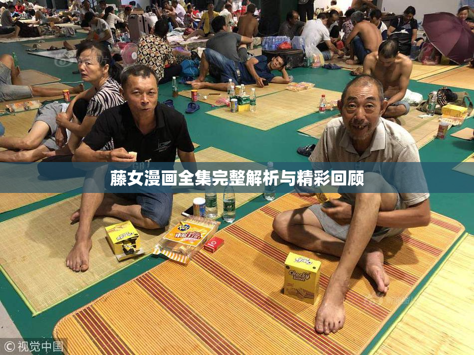 藤女漫画全集完整解析与精彩回顾