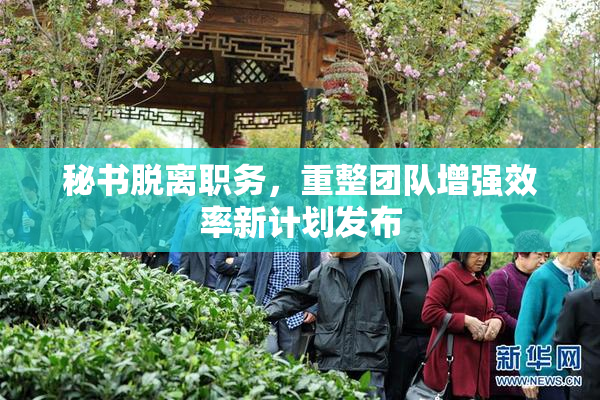 秘书脱离职务，重整团队增强效率新计划发布