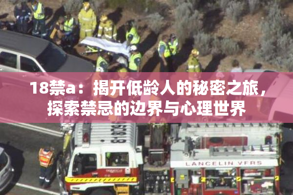 18禁a：揭开低龄人的秘密之旅，探索禁忌的边界与心理世界