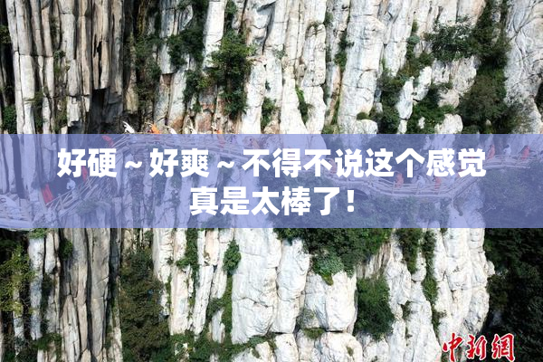 好硬～好爽～不得不说这个感觉真是太棒了！