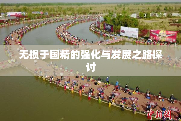 无损于国精的强化与发展之路探讨