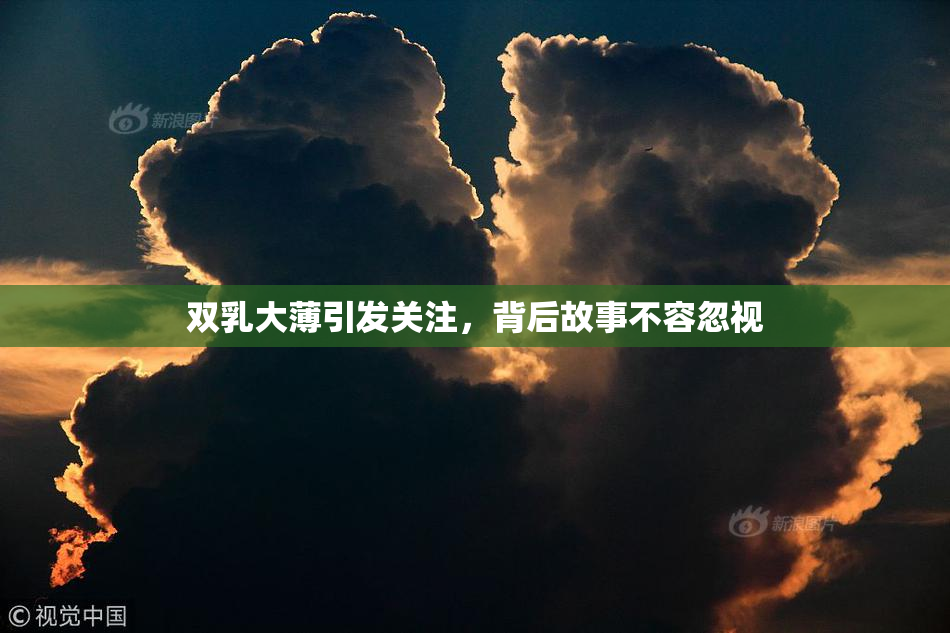 双乳大薄引发关注，背后故事不容忽视