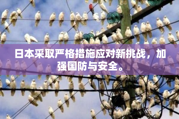 日本采取严格措施应对新挑战，加强国防与安全。