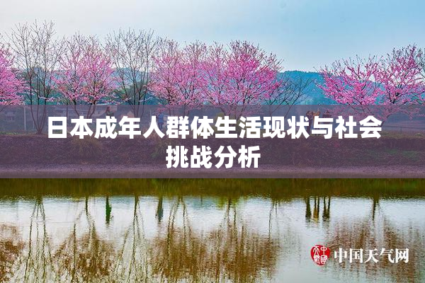 日本成年人群体生活现状与社会挑战分析
