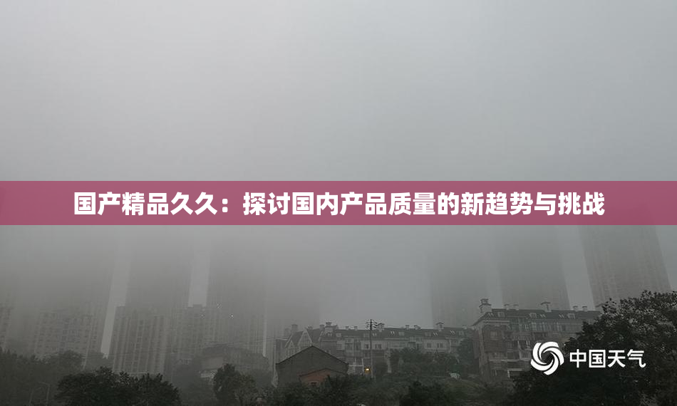 国产精品久久：探讨国内产品质量的新趋势与挑战