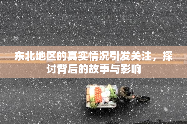 东北地区的真实情况引发关注，探讨背后的故事与影响