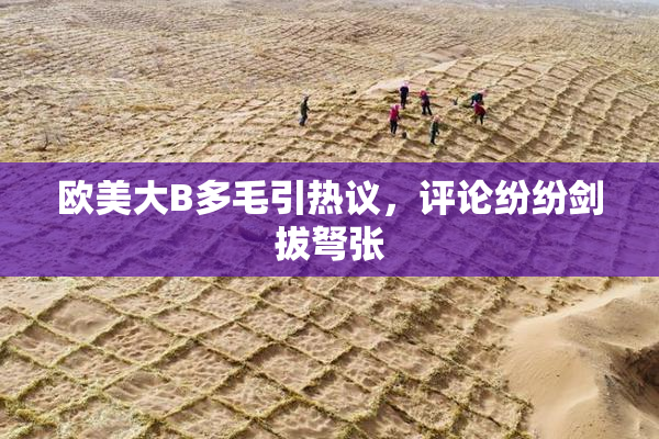 欧美大B多毛引热议，评论纷纷剑拔弩张