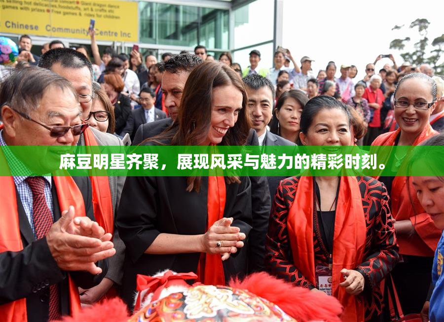 麻豆明星齐聚，展现风采与魅力的精彩时刻。