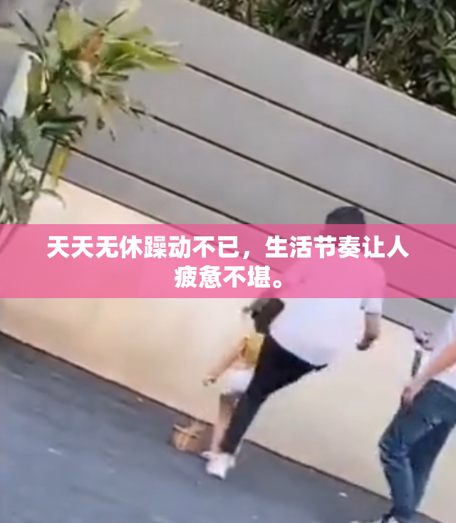 天天无休躁动不已，生活节奏让人疲惫不堪。