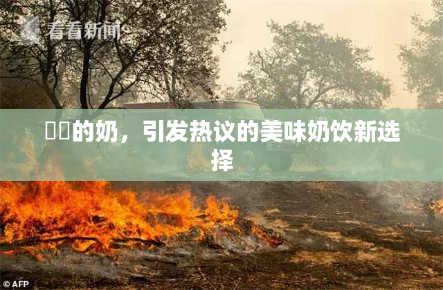妺妺的奶，引发热议的美味奶饮新选择