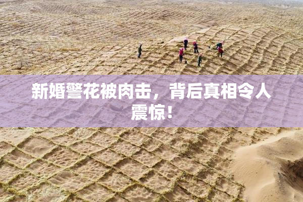 新婚警花被肉击，背后真相令人震惊！