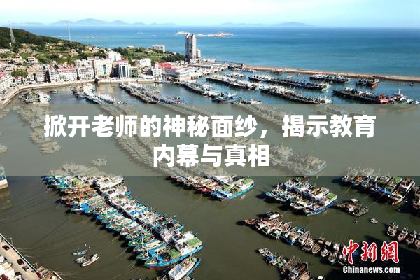 掀开老师的神秘面纱，揭示教育内幕与真相