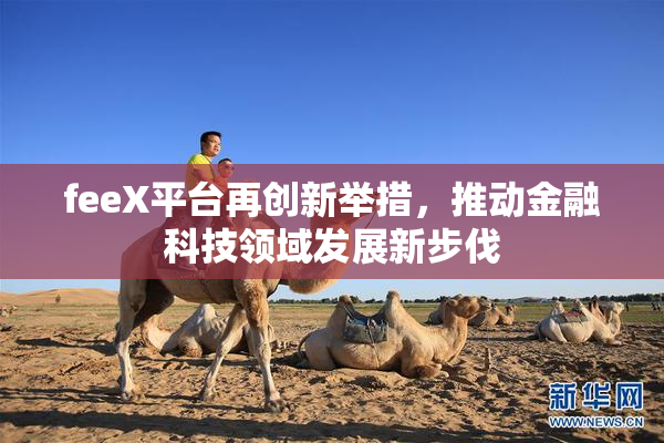 feeX平台再创新举措，推动金融科技领域发展新步伐