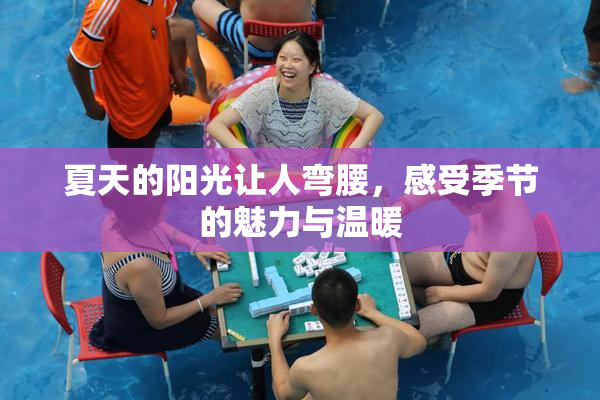 夏天的阳光让人弯腰，感受季节的魅力与温暖
