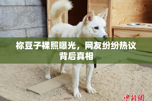 祢豆子裸照曝光，网友纷纷热议背后真相