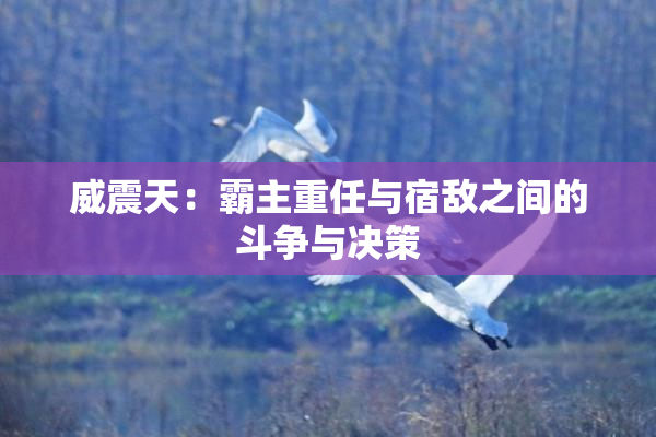 威震天：霸主重任与宿敌之间的斗争与决策