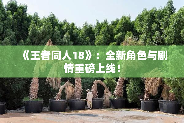 《王者同人18》：全新角色与剧情重磅上线！