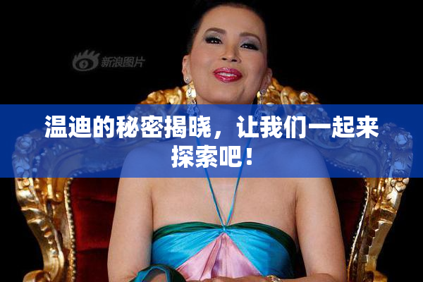 温迪的秘密揭晓，让我们一起来探索吧！