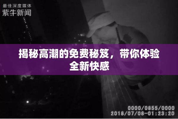 揭秘高潮的免费秘笈，带你体验全新快感