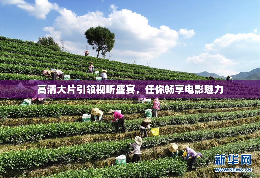 高清大片引领视听盛宴，任你畅享电影魅力