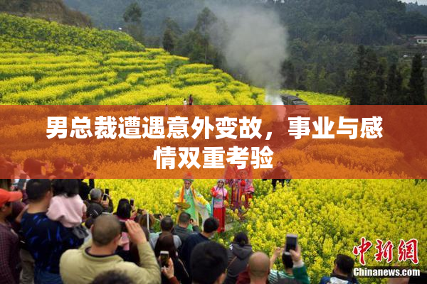 男总裁遭遇意外变故，事业与感情双重考验