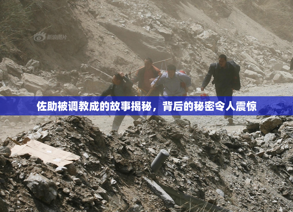 佐助被调教成的故事揭秘，背后的秘密令人震惊