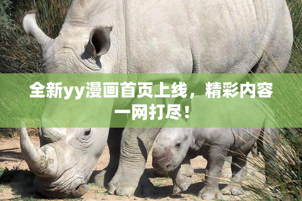 全新yy漫画首页上线，精彩内容一网打尽！