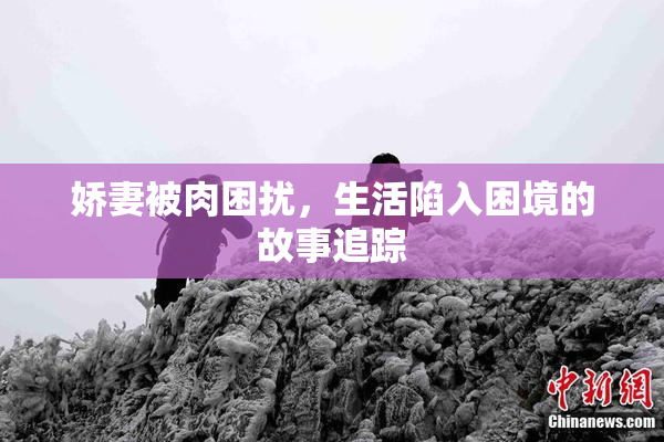 娇妻被肉困扰，生活陷入困境的故事追踪