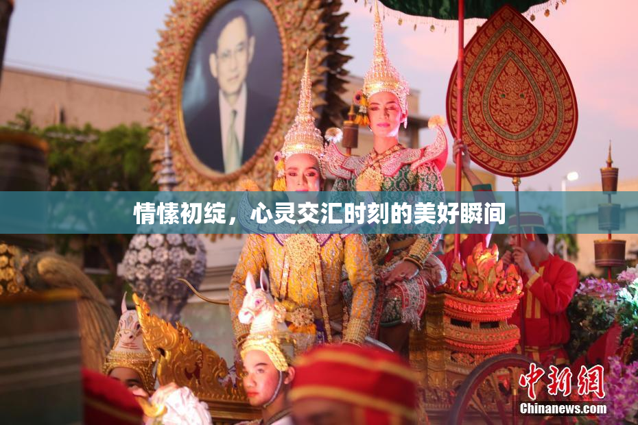 情愫初绽，心灵交汇时刻的美好瞬间