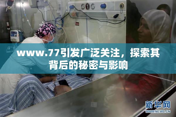 www.77引发广泛关注，探索其背后的秘密与影响