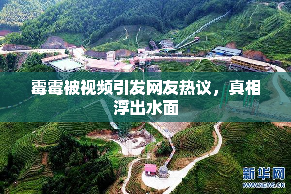霉霉被视频引发网友热议，真相浮出水面